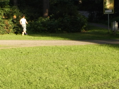 Deadline Hildesheim Marienfriedhof
